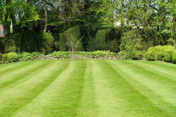 Aeration