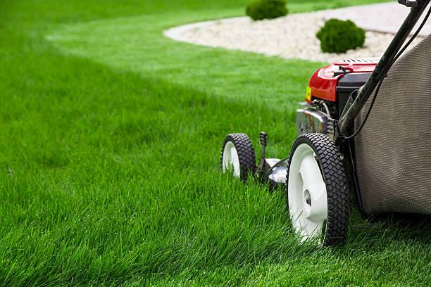 Lawn Trimming