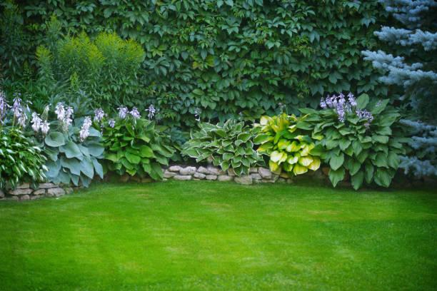 Garden Maintenance