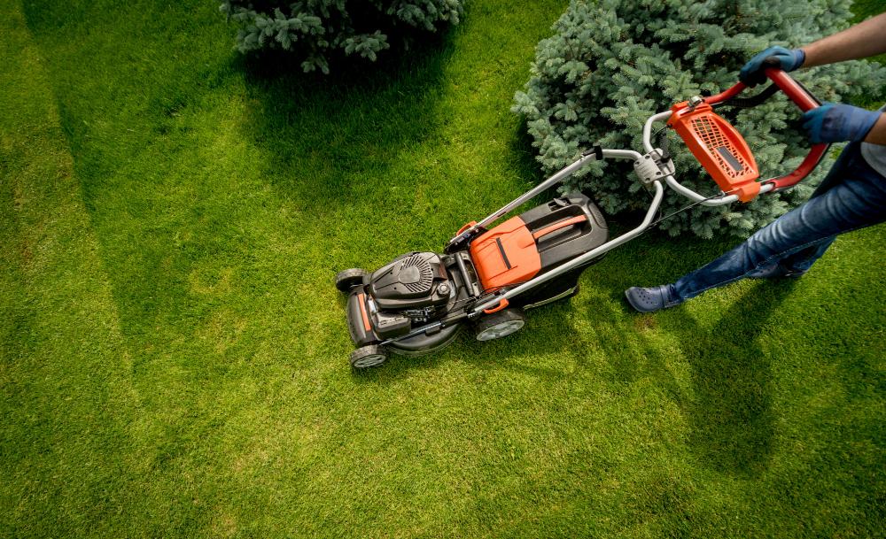 Professional lawn care services in Kelowna